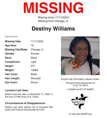 Destiny Williams Chicago Missing Person – American Basketball Player Reportedly Goes Missing
